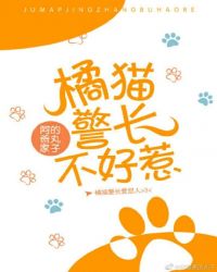 橘猫警长不好惹