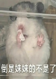 ��̫Ͷ�루�ǿ�gl��